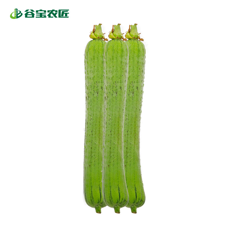 谷宝农匠·有机丝瓜线丝瓜棱角丝瓜新鲜蔬菜 肉丝瓜 500g 500g