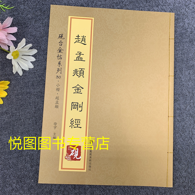 原帖+教程赵孟頫毛笔行书字帖赵孟俯临集字