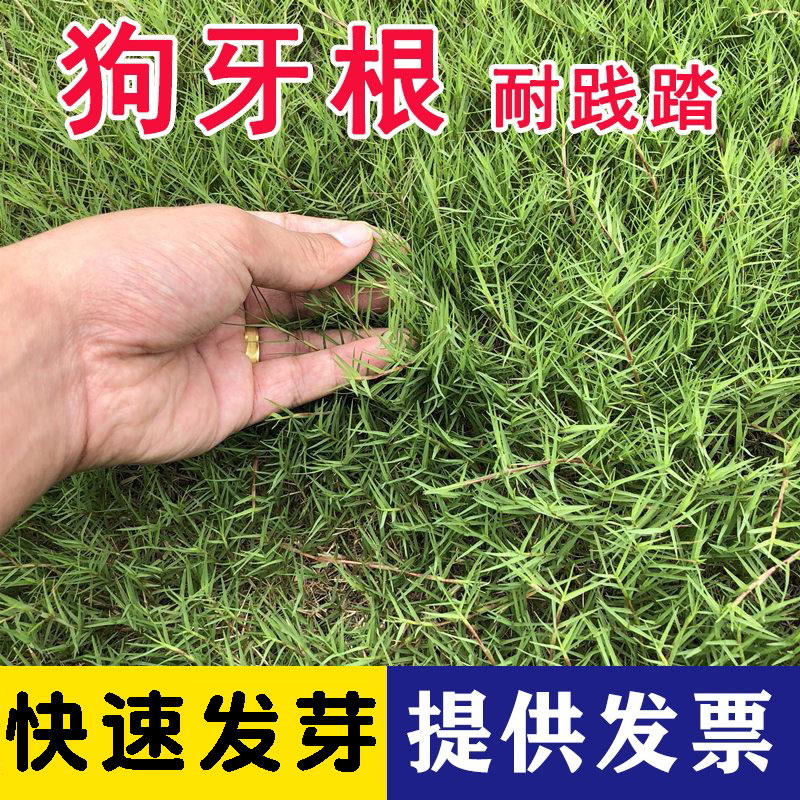 ̣MengYunڲƺӲѰļֻ̻ͺͺ޼Ƥ ̤һ 11Ԫ