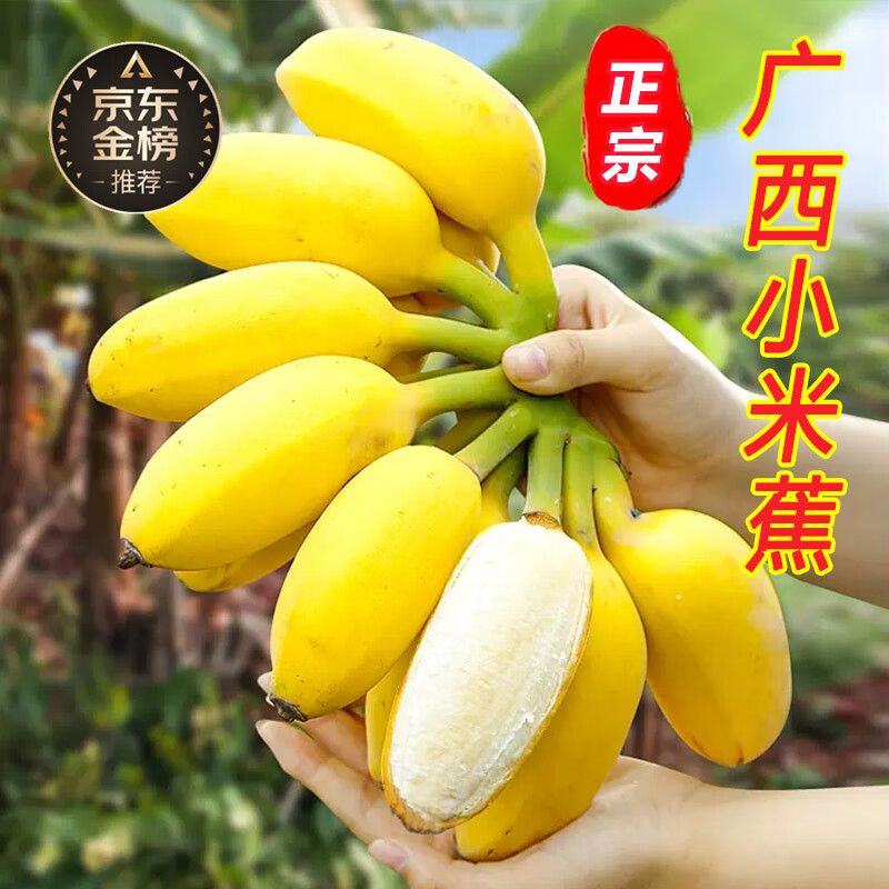 新鲜牛角苹果香蕉整箱粉蕉圆当季时令生鲜水果 【牛角蕉】4500g(划算)