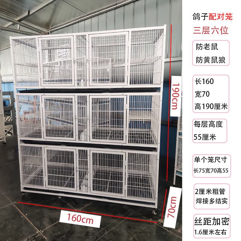 霆特三层鸽子配对繁育笼观赏信鸽笼加大空间加密防黄鼠狼带平台 笼子
