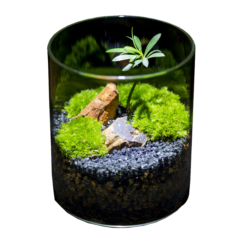 ̦֮޺΢̬ƿdiy칫ֲڼ쾰 Сɽ ΢