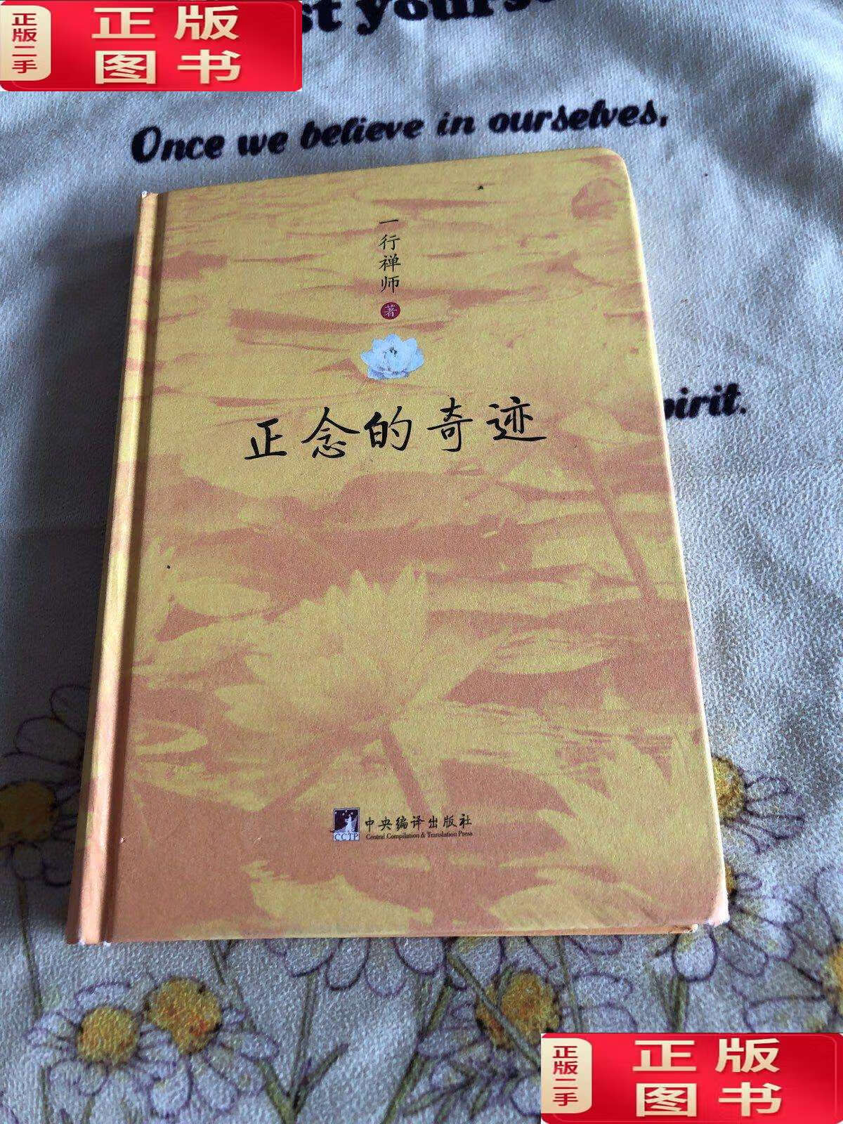 【二手9成新】正念的奇迹 /一行禅师 中央编译