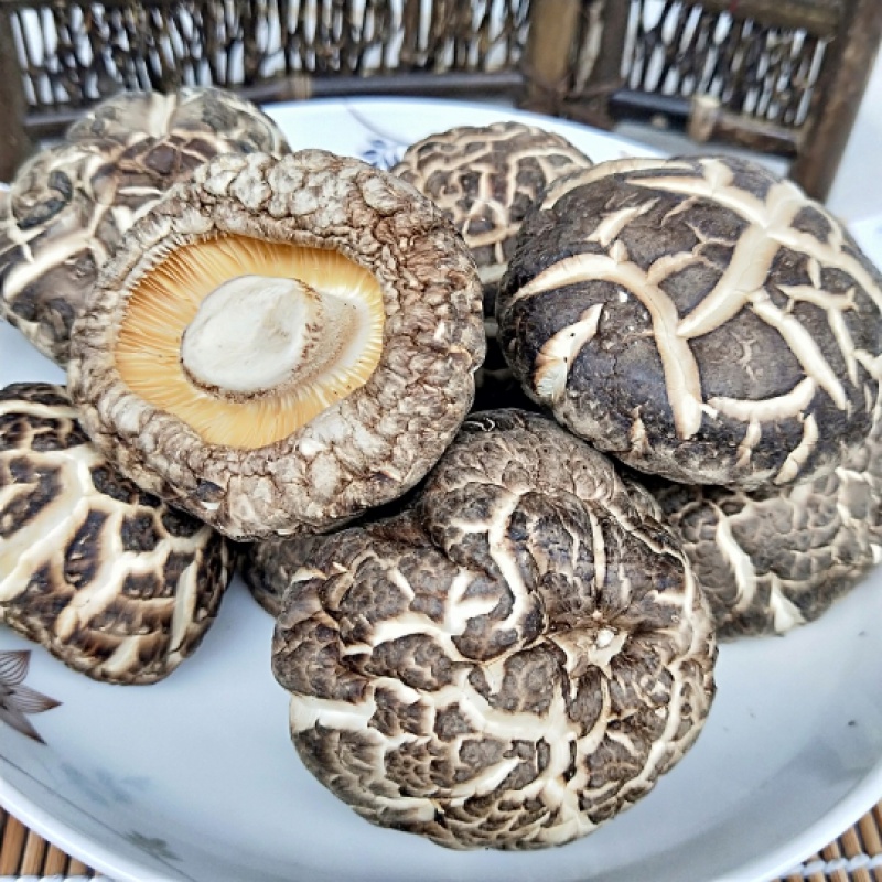 20中国大陆山珍年剪脚冬菇土特产500g泌阳茶花菇