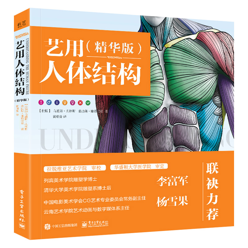 艺用人体结构全彩精华版贵哥译骨骼肌肉造型解剖学基础教程理解人体形态基础入门人体结构素描教程形体艺术绘画书籍艺用人体解剖