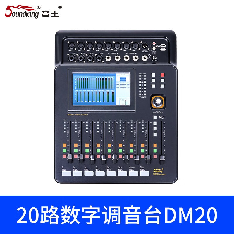 SoundkingA20/DM20数字调音台专业直播舞台效果混音器带效果混响均衡 官方标配（DM20）