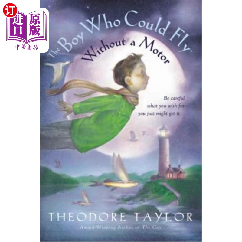 海外直订the boy who could fly without a motor 那个不用马达就能飞