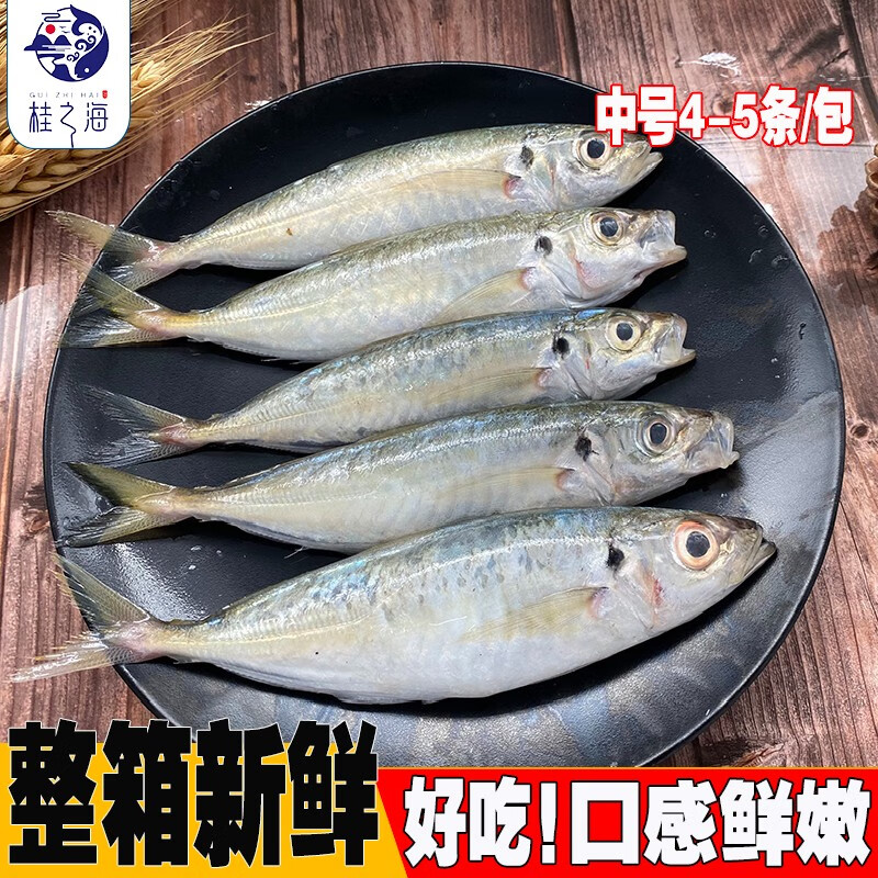 桂之海 桂(GUIZHIHAI)北海巴浪鱼鲜活冷冻海杂鱼新鲜海捕去鳞去鳃去内脏池鱼深海鱼海鲜 5包大号【4-5条/包】净重4斤