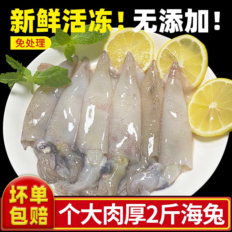 鱼姐海成青岛海兔子无籽鲜活冷冻新鲜小鱿鱼海兔乌贼无添加笔管鱼无冰