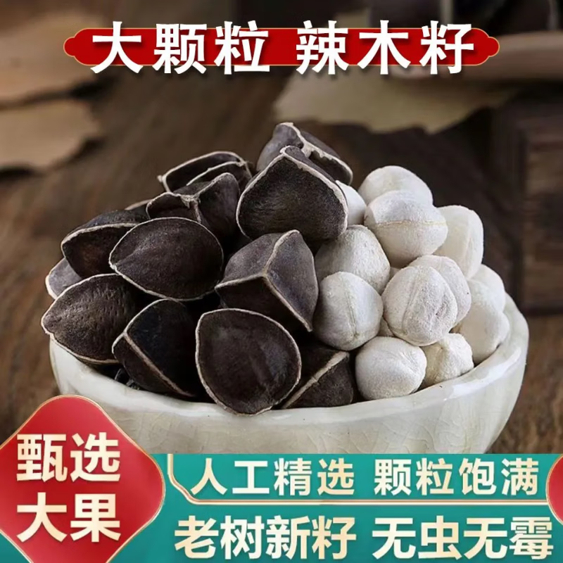 草木清源 辣木籽 云南新鲜大颗粒老树辣木籽新果泡茶泡酒养生材料