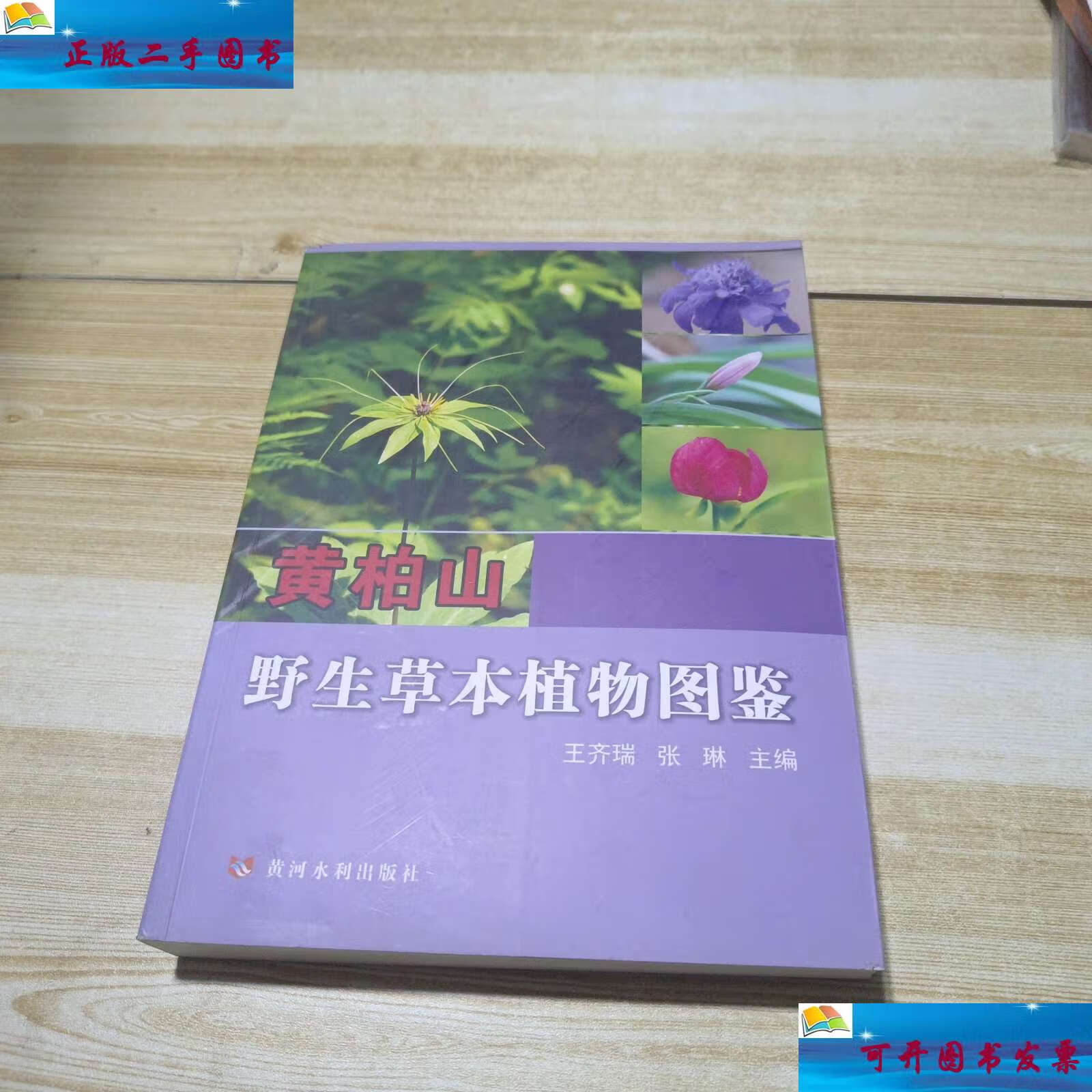 【二手9成新】黄柏山野生草本植物图鉴 /王齐瑞,张琳 黄河水利