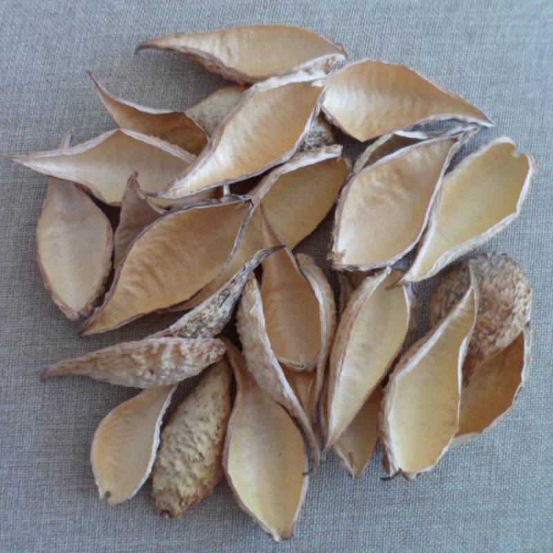 萝藦子壳天浆壳天将壳萝摩荚哈喇瓢农家 500克