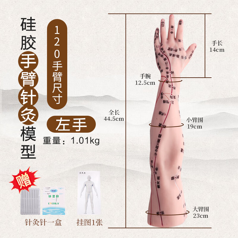 中医人体手臂穴位模型针灸手部模具带经络硅胶仿真胳膊可扎针教学