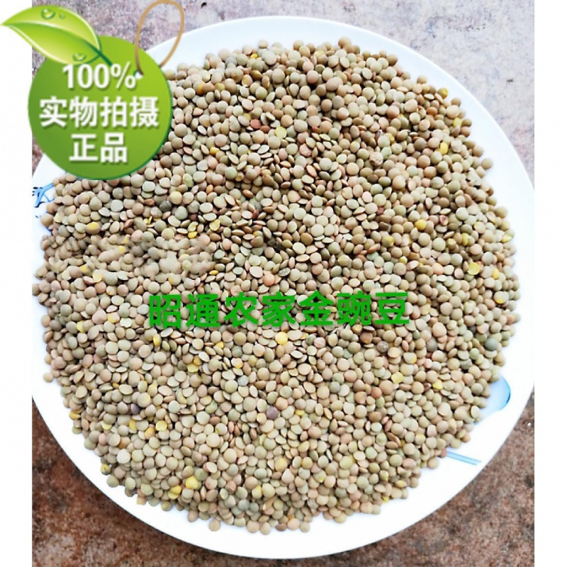 多莉小岛昭通金豌豆粉原料舌尖上的中国小豌豆鸡豆小扁豆农家自种5斤装