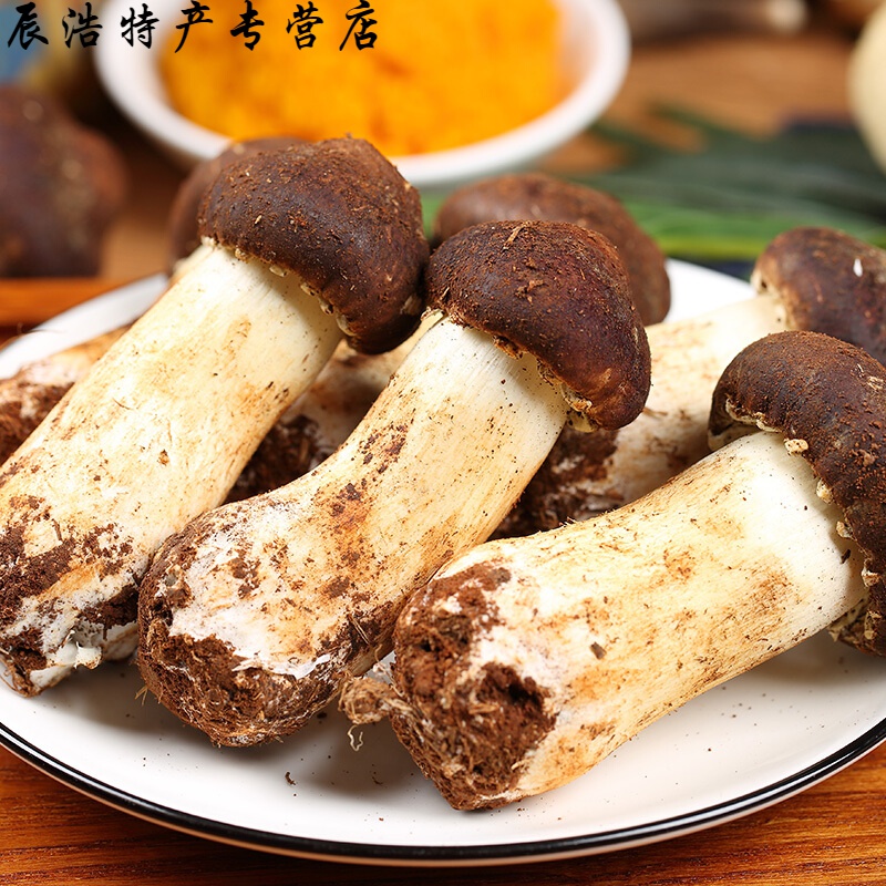 姬松茸巴西菇姫松茸云南特产仿松茸菌鲜赤松茸蘑菇500g 姬松茸 500g