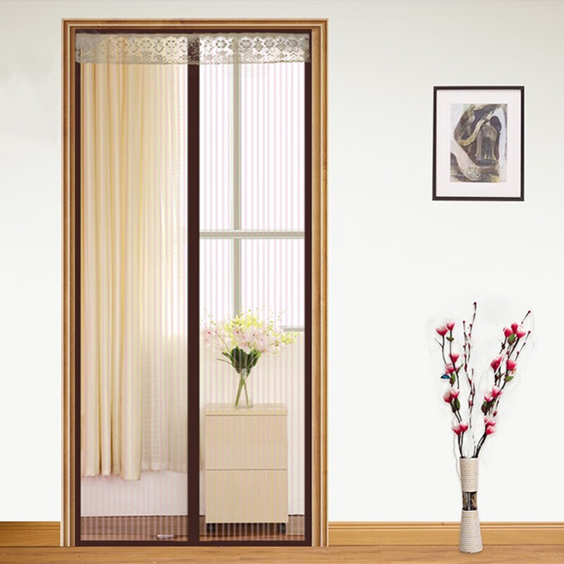 薇薇公主（weiweigongzhu）  魔术贴防蚊门帘磁性加密软纱门沙窗纱网纱窗蚊子自粘型防蝇沙门 咖啡色90*200cm怎么样,好用不?