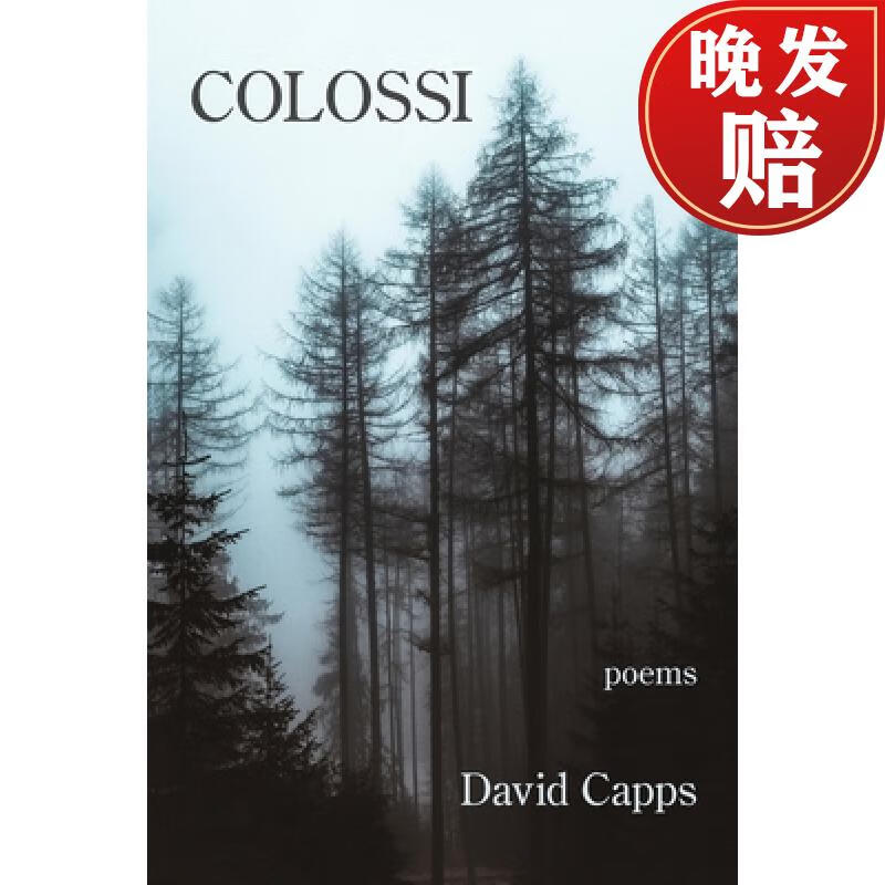 【4周达】colossi