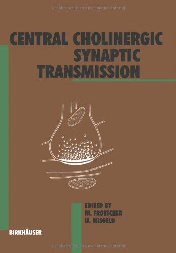 预订 central cholinergic synaptic transmission