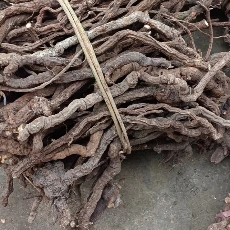 吾家余堂金锁匙中药金线风中药材银锁匙百解毛粪 整条500g