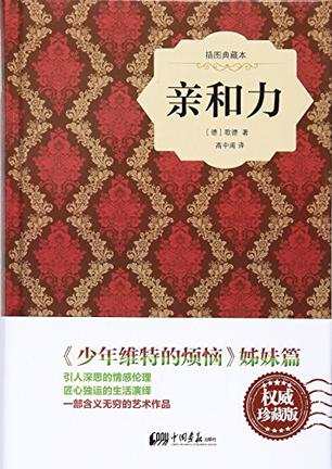 【满59包邮 正版图书】亲和力(精装插图典藏本)