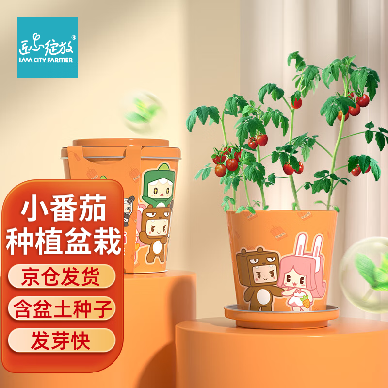 IAM City Farmer小番茄迷你盆栽儿童种植套装植物观察diy 春季种植 开学季礼物高性价比高么？