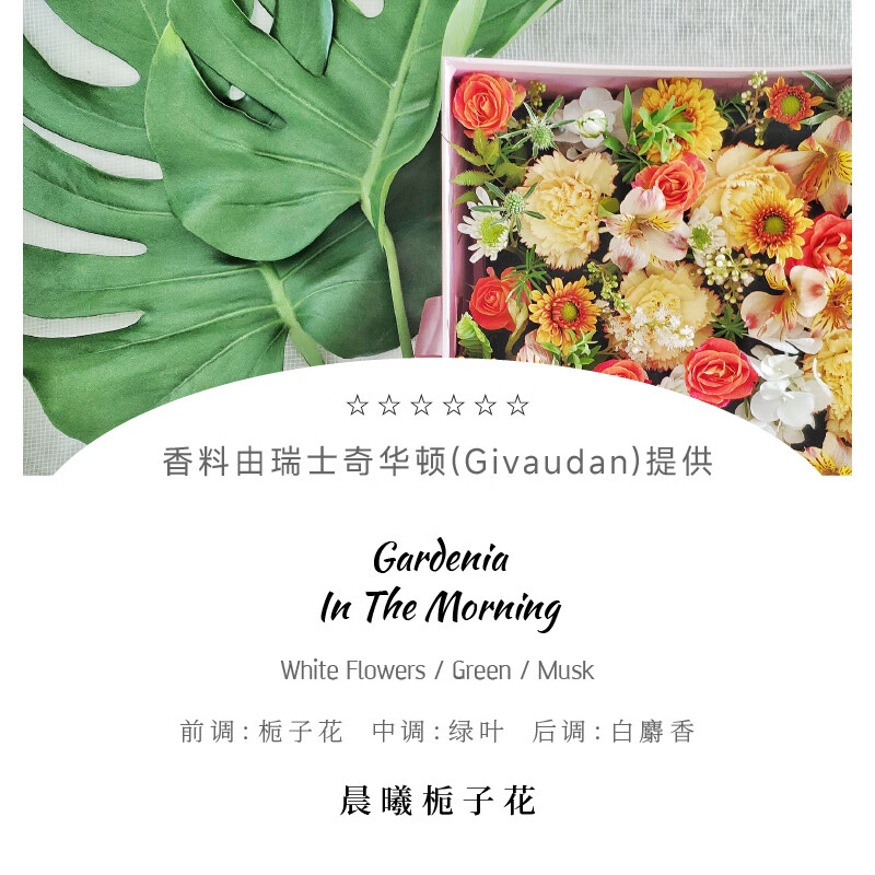 沃夫伍德(VOFUWOOD)浴缸专用泡泡浴液 超多泡泡沐浴液儿童成人浴盆浴盐球泡澡入浴剂 500ml氨基酸泡泡浴 1瓶