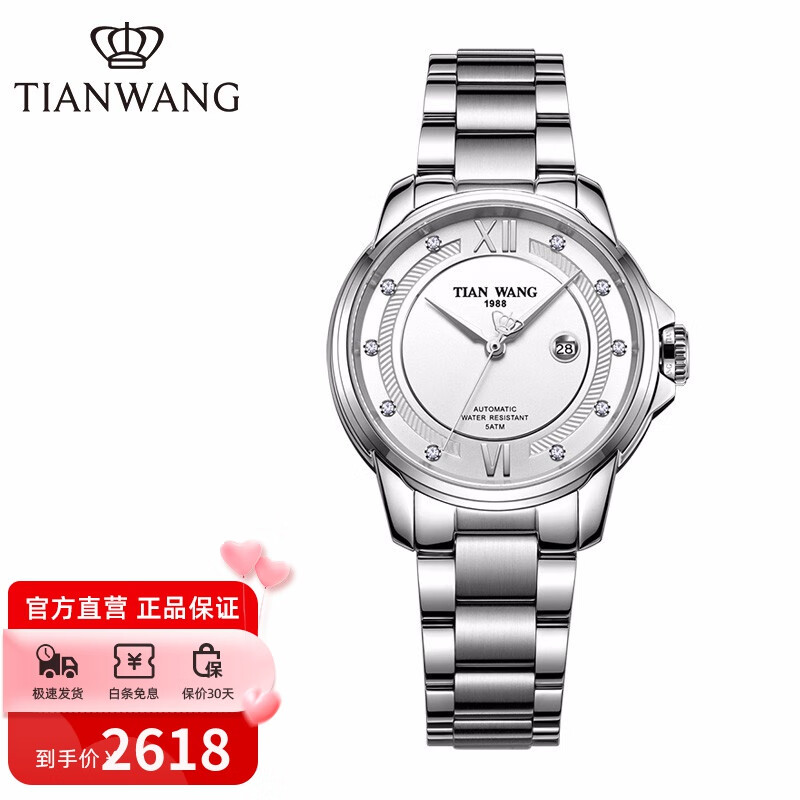 天王表(tianwang) 手表女霏系列钢带机械女表精致时尚简约腕表 银色女
