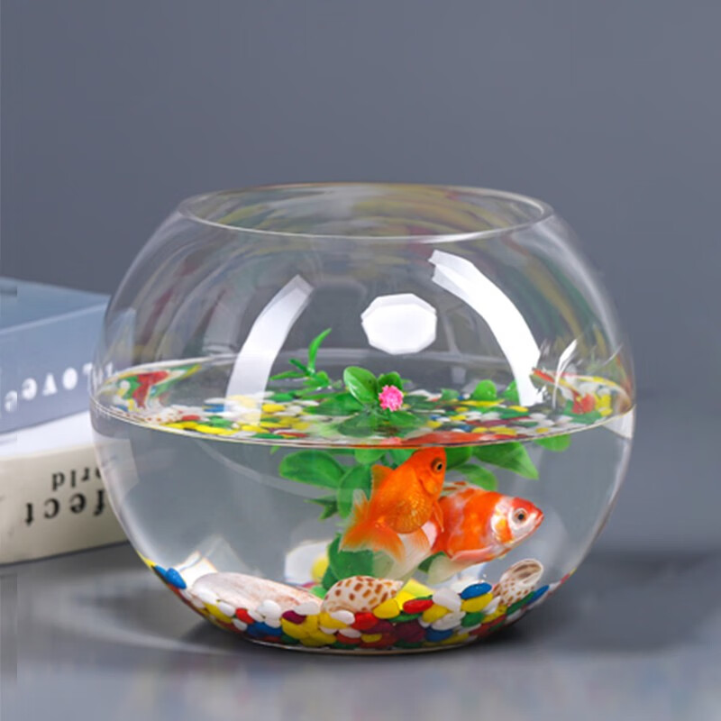 查鱼缸水族箱历史价格的网站|鱼缸水族箱价格比较
