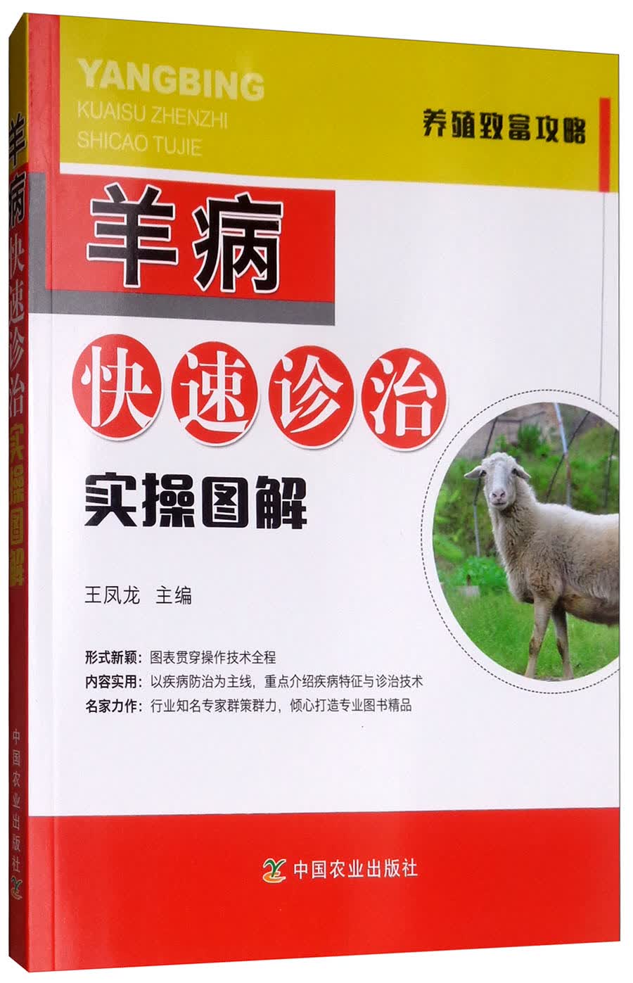 羊病快速诊治实操图解