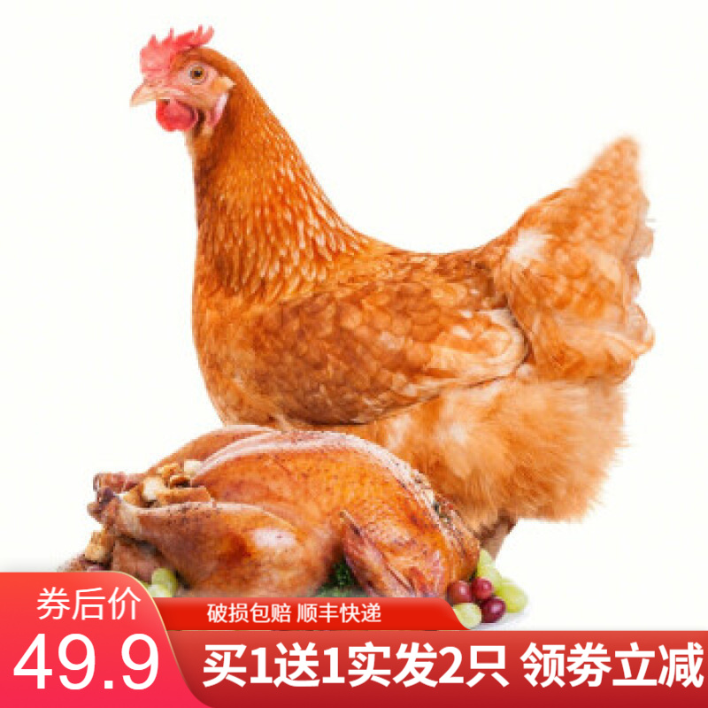 睿展 新鲜三黄鸡 农家慢养走地鸡整只鸡 土鸡 红烧白切鸡 三黄鸡 700g/只
