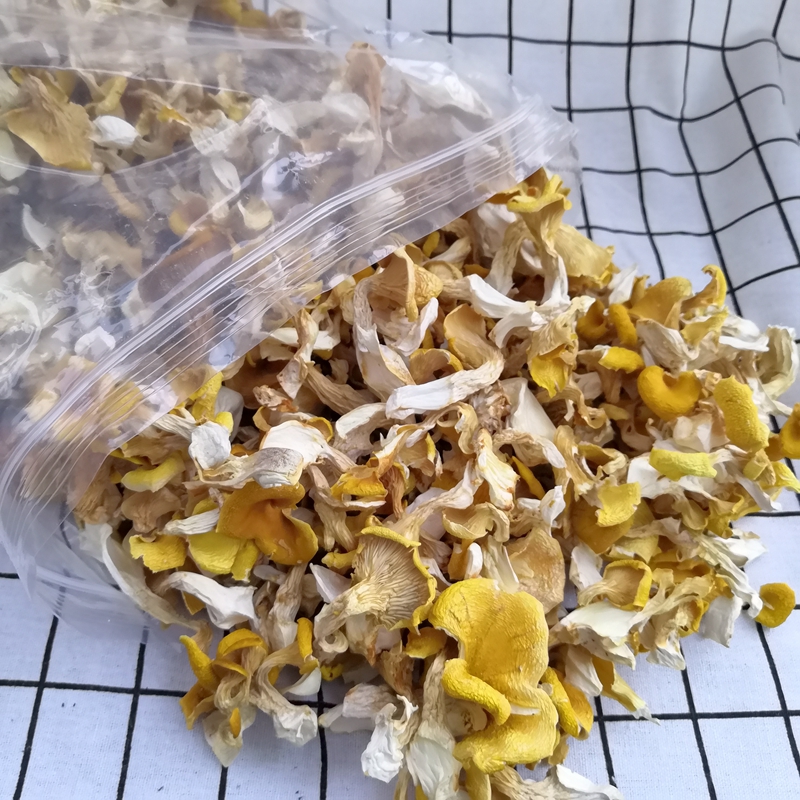 禾澹鸡油菌干货 榆黄菌干品一斤装500克云南特产菌保障新货好