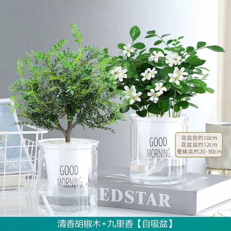 jd绿植盆栽历史价格查询|绿植盆栽价格走势图