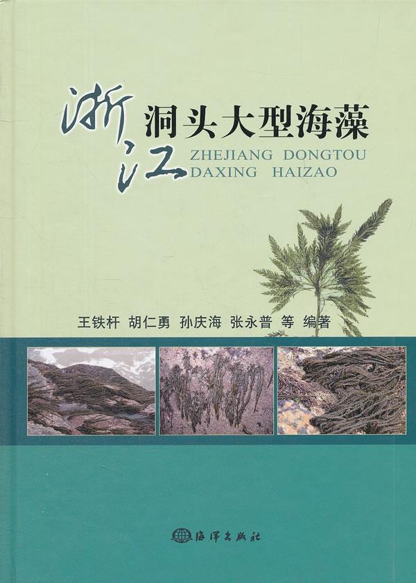 浙江洞头大型海藻