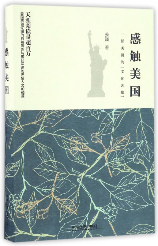 感触美国