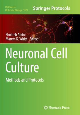 预订Neuronal Cell Culture: Methods and Protocols