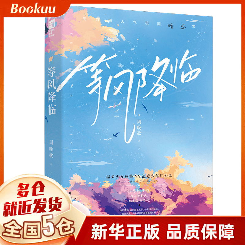 等风降临 周晚欲小说 新书