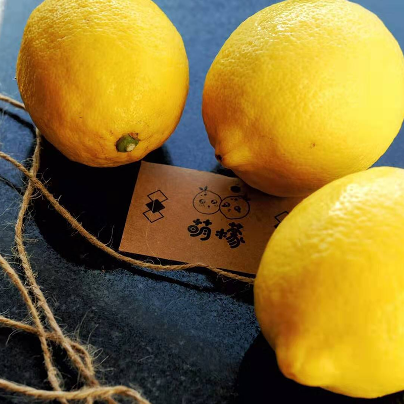 萌檬 柠檬 不打蜡 零农残 欧盟有机认证  GAP良好农业种植规范认证 2kg