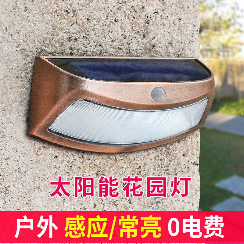 战驴定制太阳能户外灯 室外led感应路灯花园别墅景观路灯笑脸壁灯