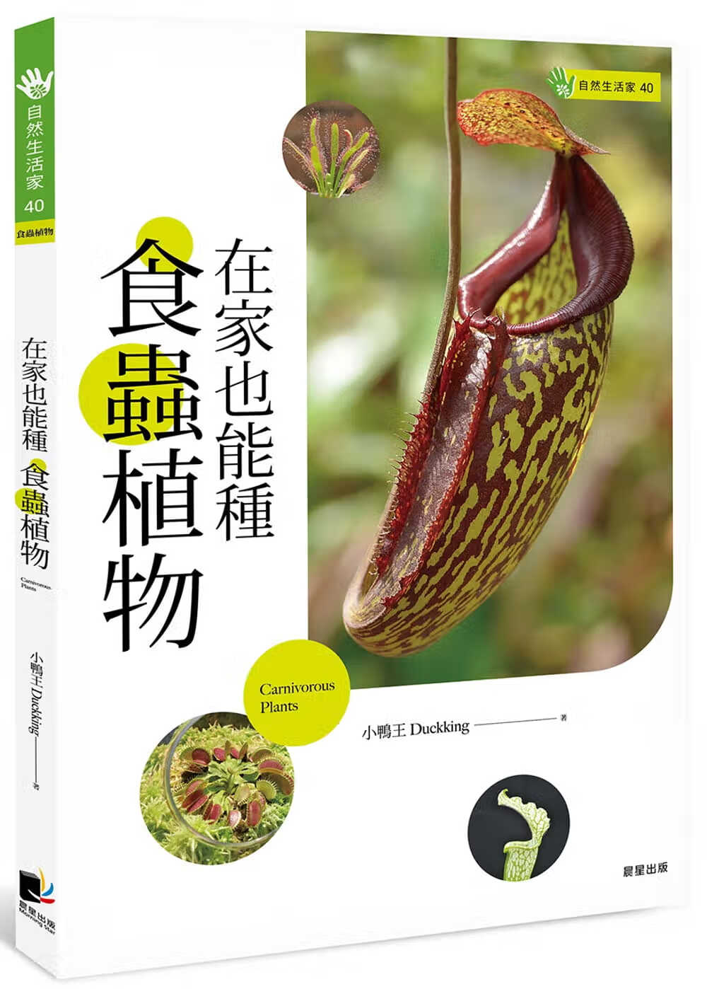 预售 原版进口书 小鸭王Duckking（陈英佐）在家也能种食虫植物晨星港台图书