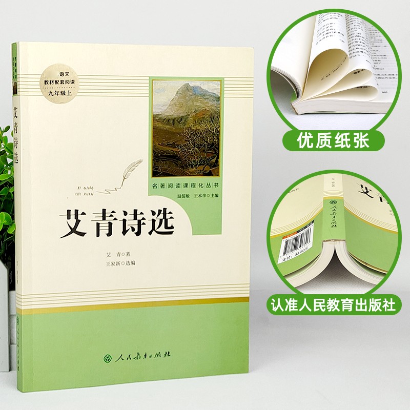 人民教育出版社艾青诗选水浒传原著正版九年级上册无删减人教版初三语文课外阅读丛书青少年读物书籍 人教版水浒传