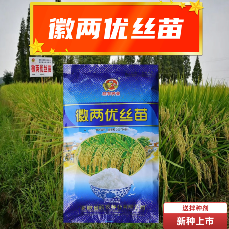 嘉瑰稳产优丝苗水稻种 正宗国审稳产抗倒杂交水稻增产 徽两优丝苗一袋