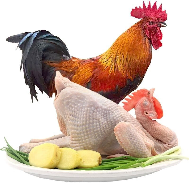 5斤 纯粮散养大公鸡贈炖鸡料包