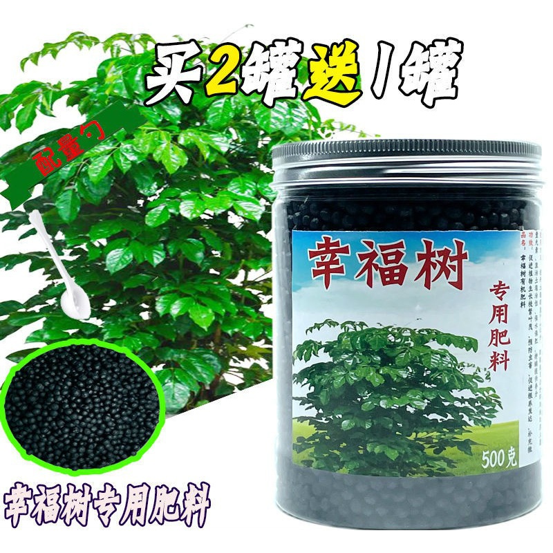幸福树专用肥料室内客厅植物盆栽专用肥有机肥料 幸福树专用肥500g/罐
