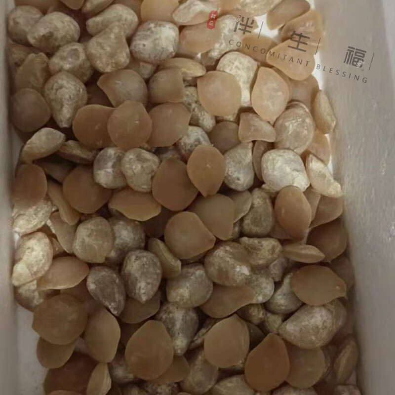 伴生福青鱼石 鱼惊石天然原石鱼精鱼惊骨青鱼石吊坠鱼 5粒 3g至4g