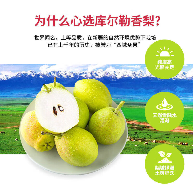 京橙美锦【顺丰】新疆库尔勒香梨新鲜水果当季孕妇爆甜梨子特级全母梨整箱 特级果【单果120-140g】 净重5斤