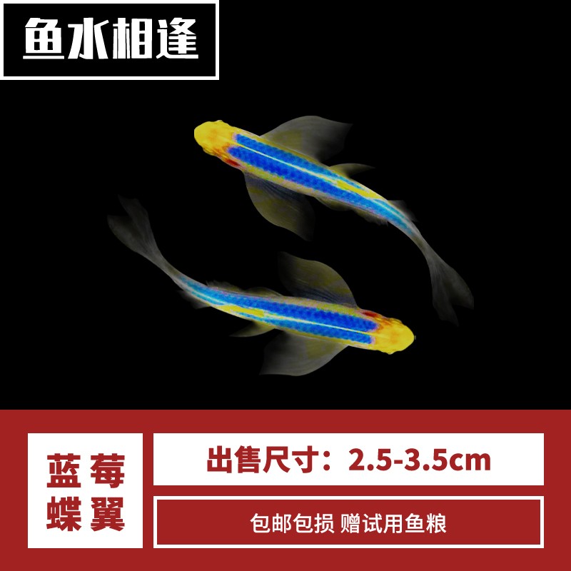 水族活体历史价格软件|水族活体价格走势