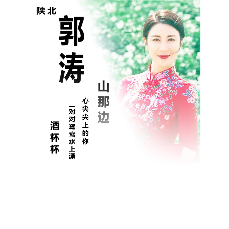 erikole郭涛女cd碟片陕北歌曲酒杯杯山那边汽车载cd光盘无损通用白金