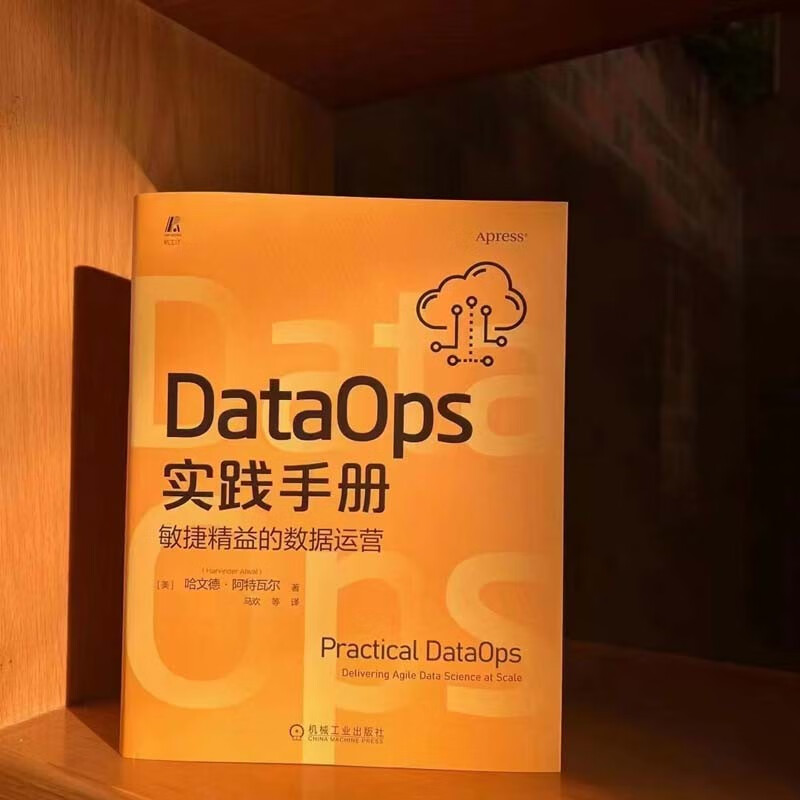 DataOps实践手册：敏捷精益的数据运营 数字经济 数字化转型详情图
