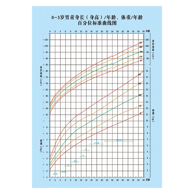 男女宝宝成长发育曲线宣传画少儿婴幼儿标准体重身高对比表墙贴纸 wse