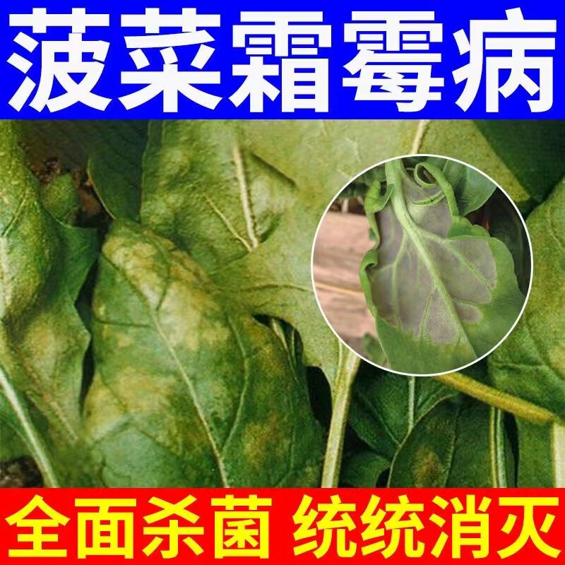 菠菜病害清【1袋】1亩地